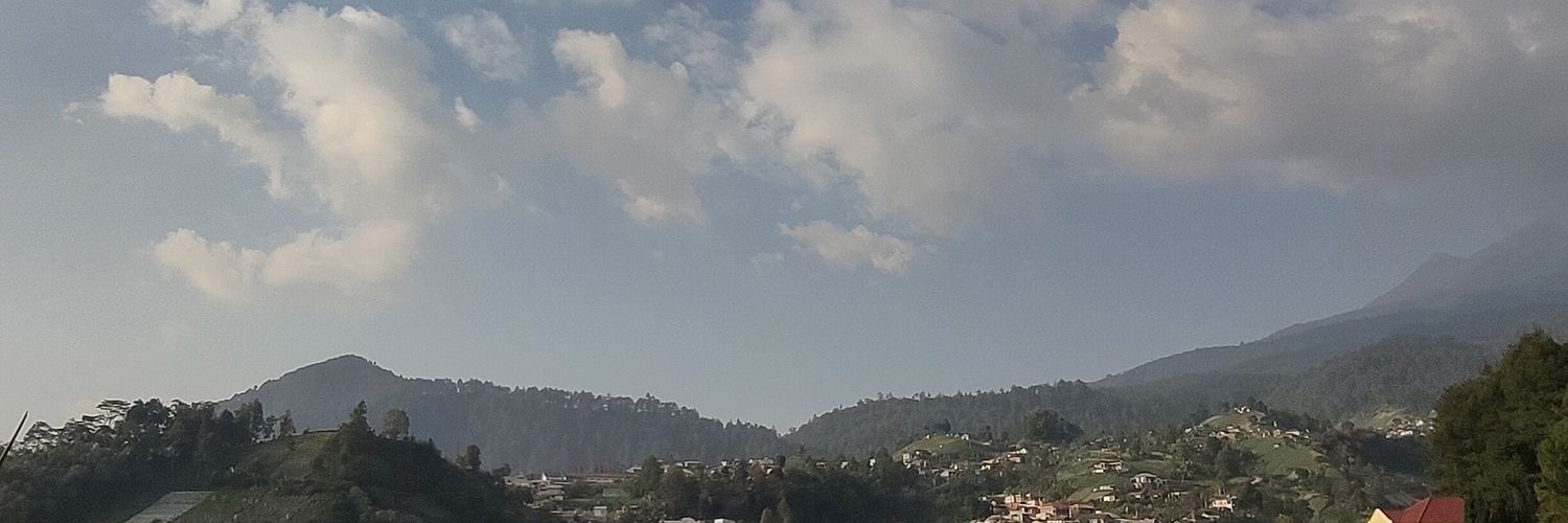 radinianin's profile banner image