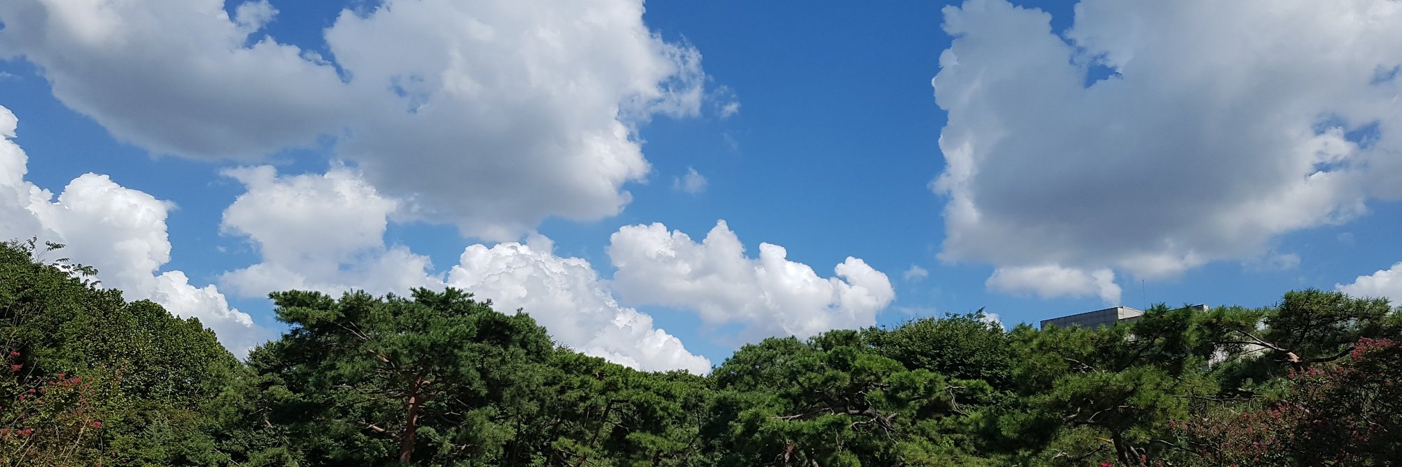 seederyj's profile banner image