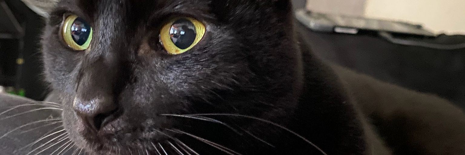 cdjones91's profile banner image