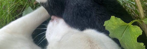 erikfromalaska Profile Banner
