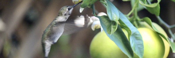 bertkaufman Profile Banner
