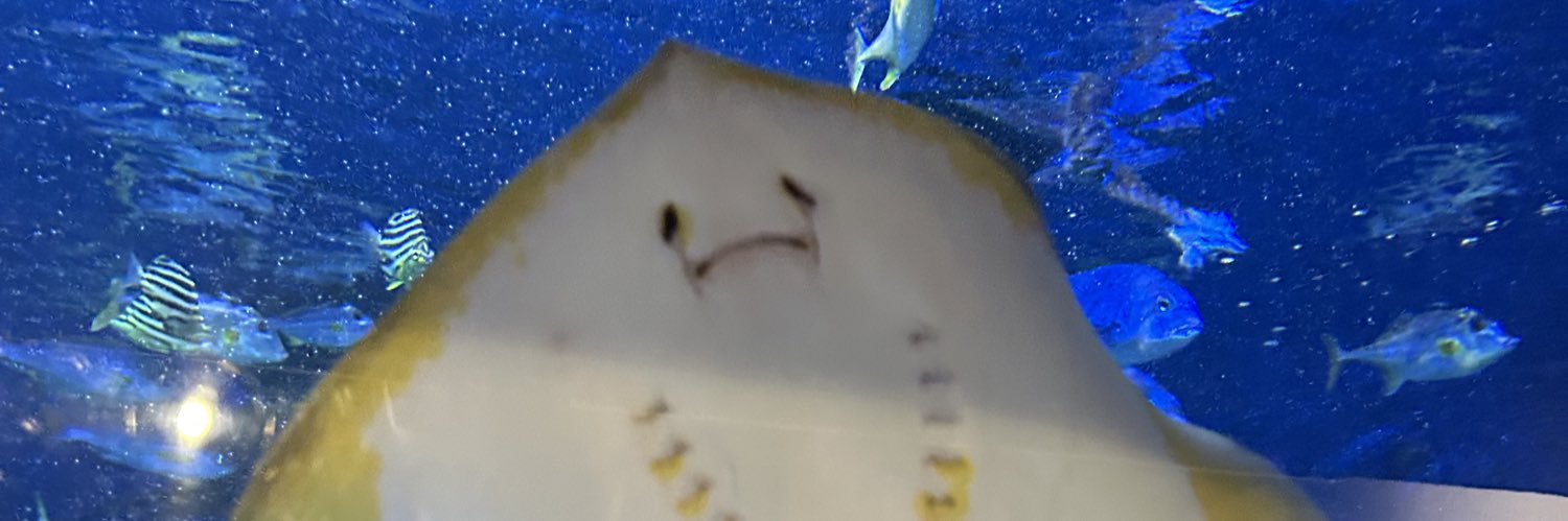O2's banner