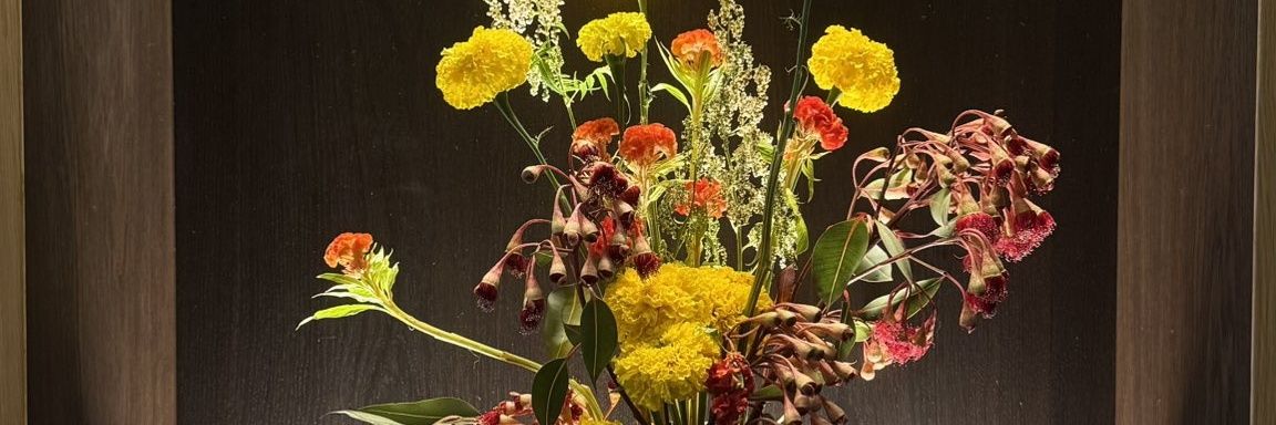 Ed_A.T (Edem A.T) 🧢 banner