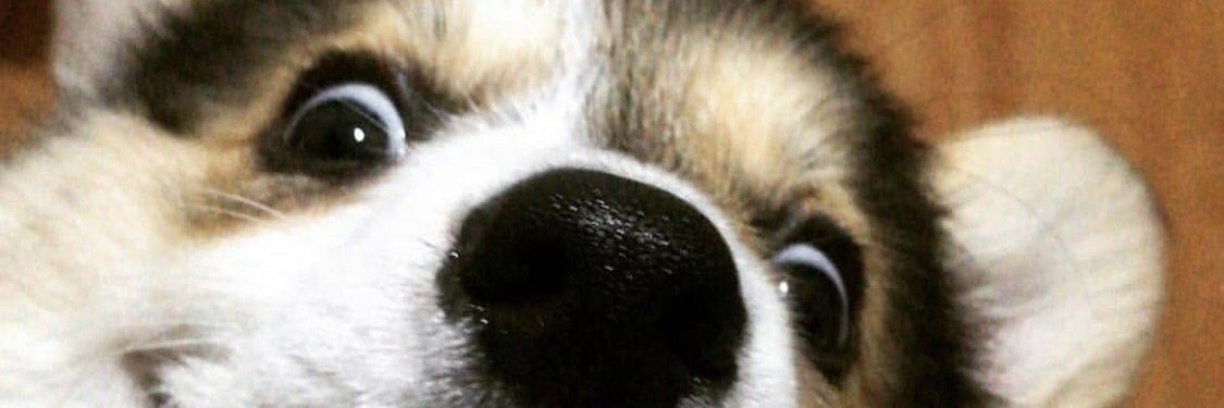 feeeeerz_'s profile banner image