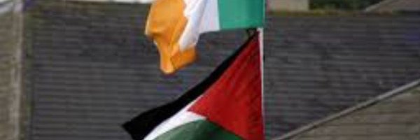 jinkythecelt Profile Banner