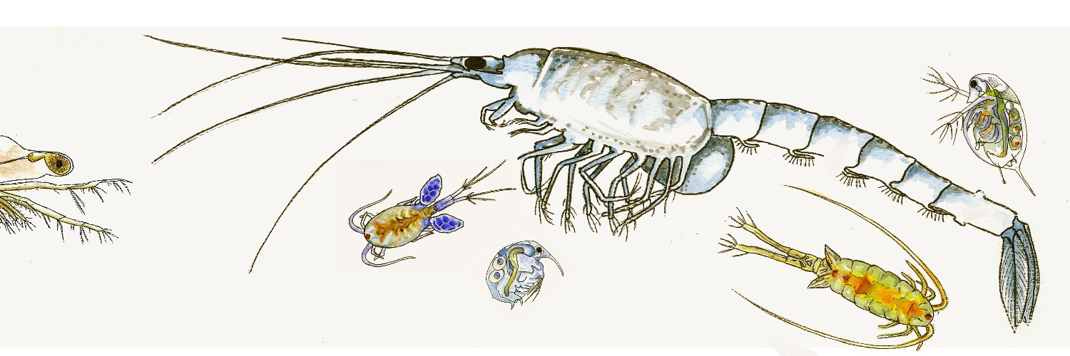 aladybiologist's profile banner image