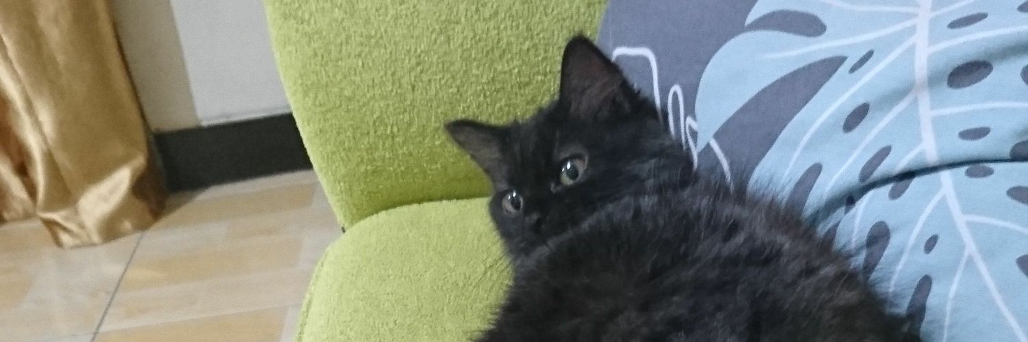 yrdnikulul's profile banner image