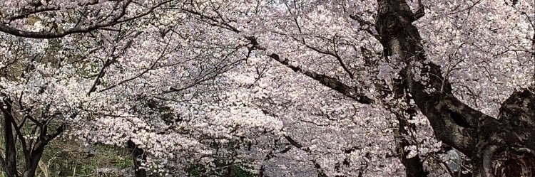 h_cci_'s profile banner image