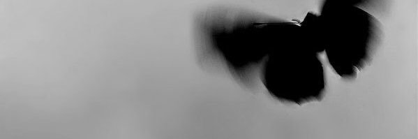 ⋆ banner
