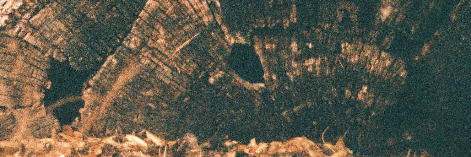 lysmoriarty_'s profile banner image