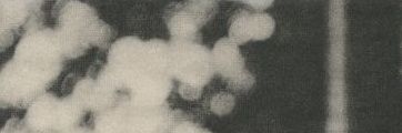 bia banner