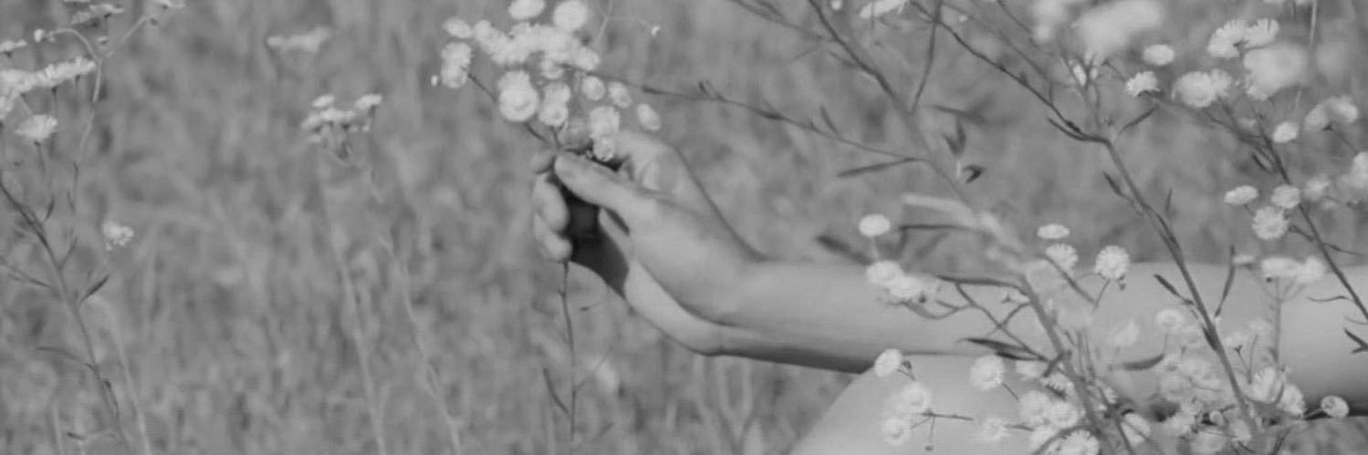 𝙩𝙛. banner