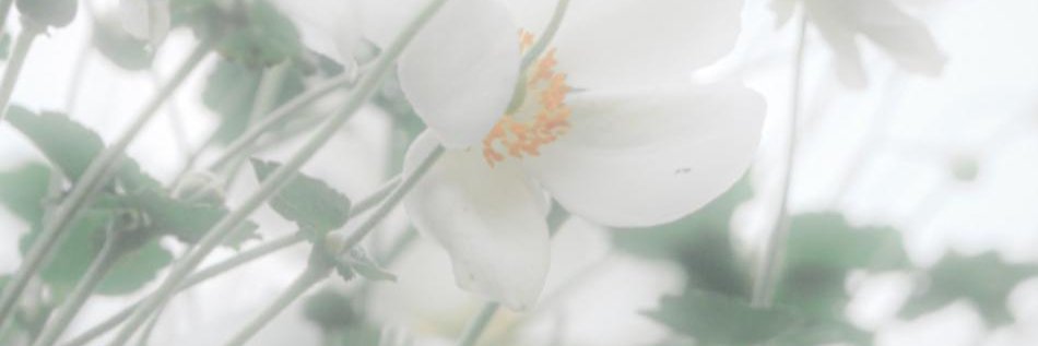 Flodi_12's profile banner image