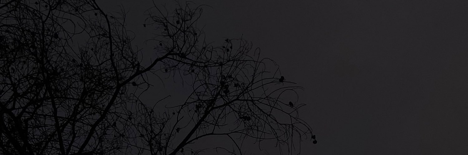 nymphnugget's profile banner image