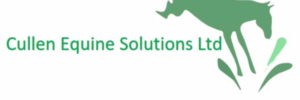 MrDeclanCullen Profile Banner