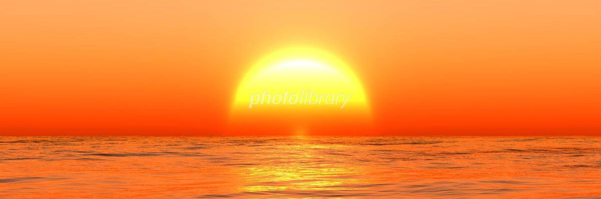 サニー🌞 banner