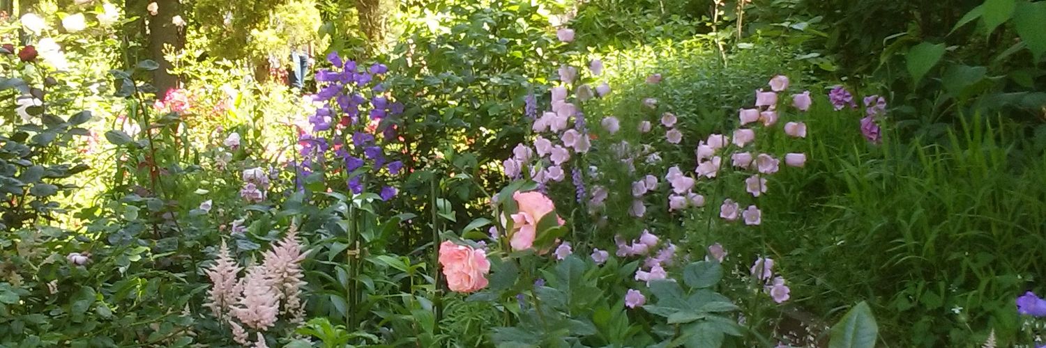 nonoko556's profile banner image