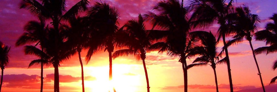DestinyMcCray14's profile banner image