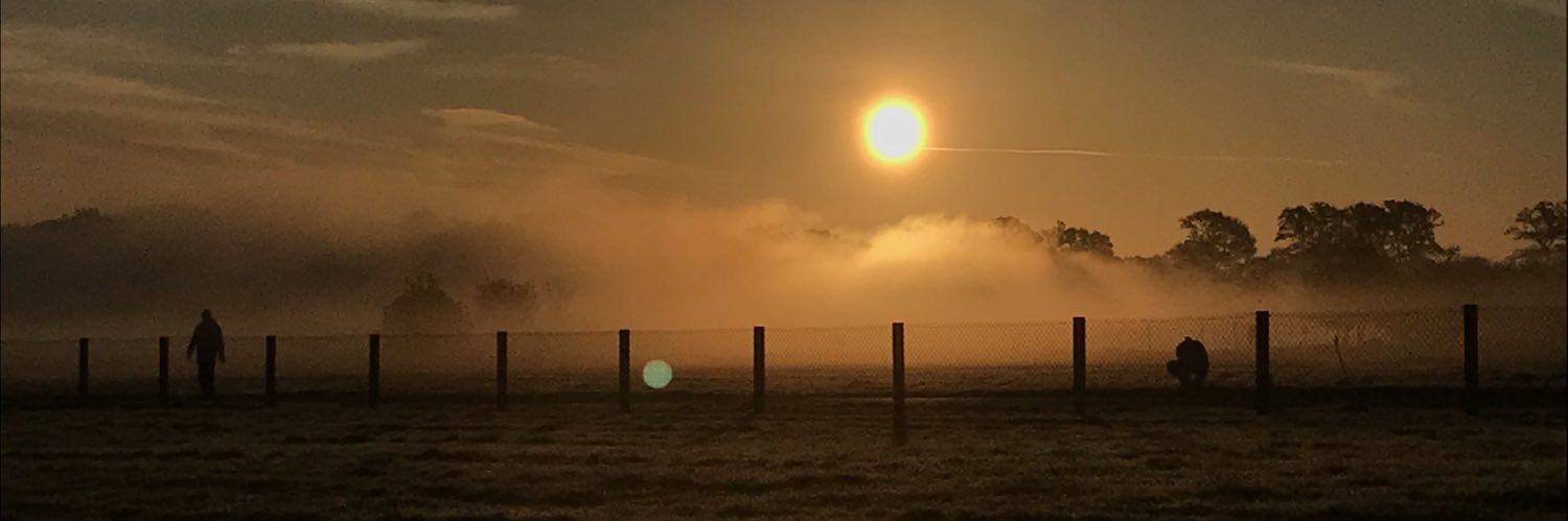 Ianseyes's profile banner image
