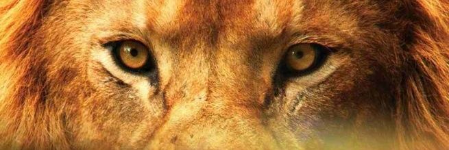 LuCarCamA's profile banner image