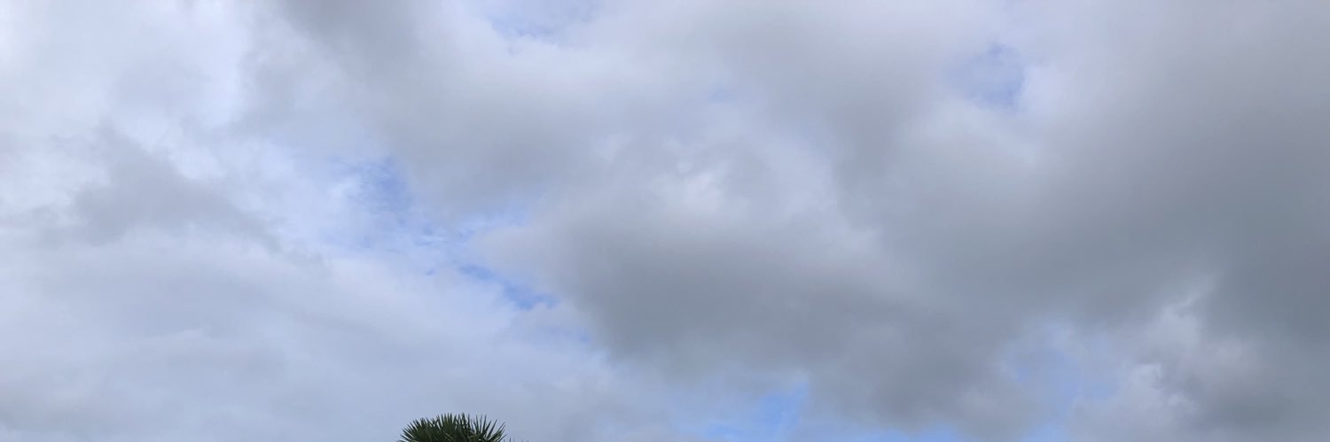 dũng 212 banner