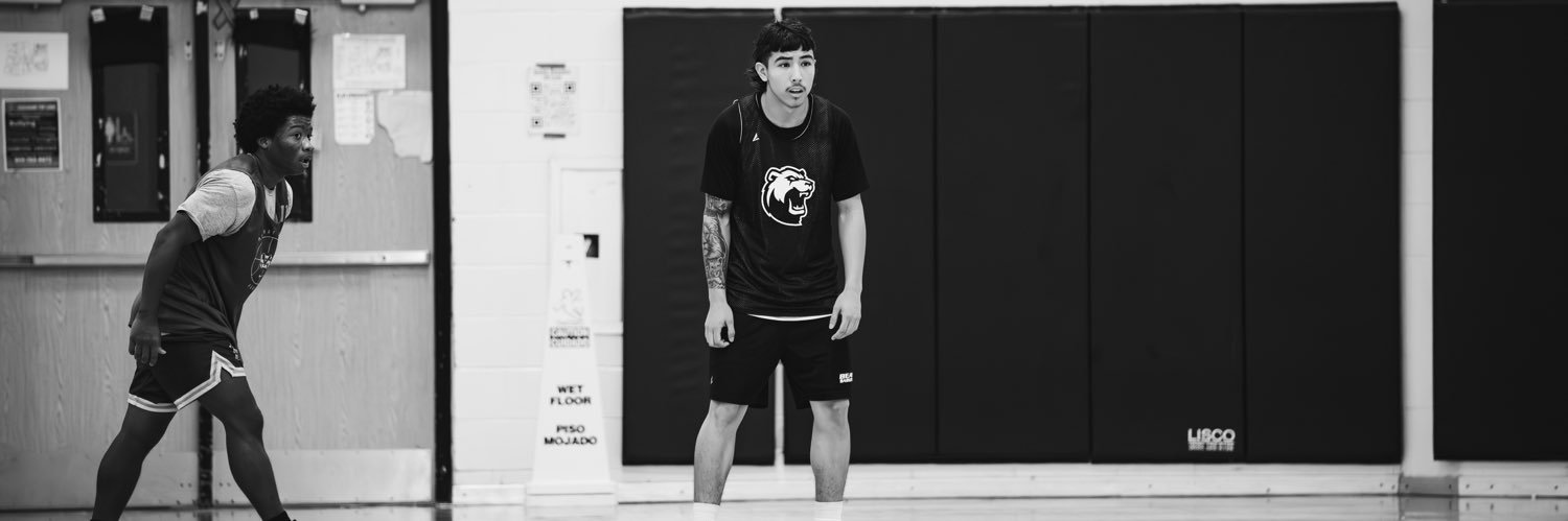 Dylan banner