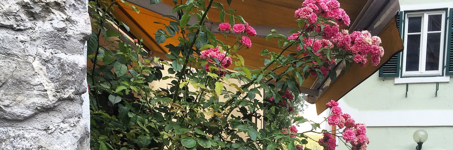 anas_ajlan's profile banner image