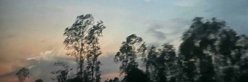 Shann85520263's profile banner image