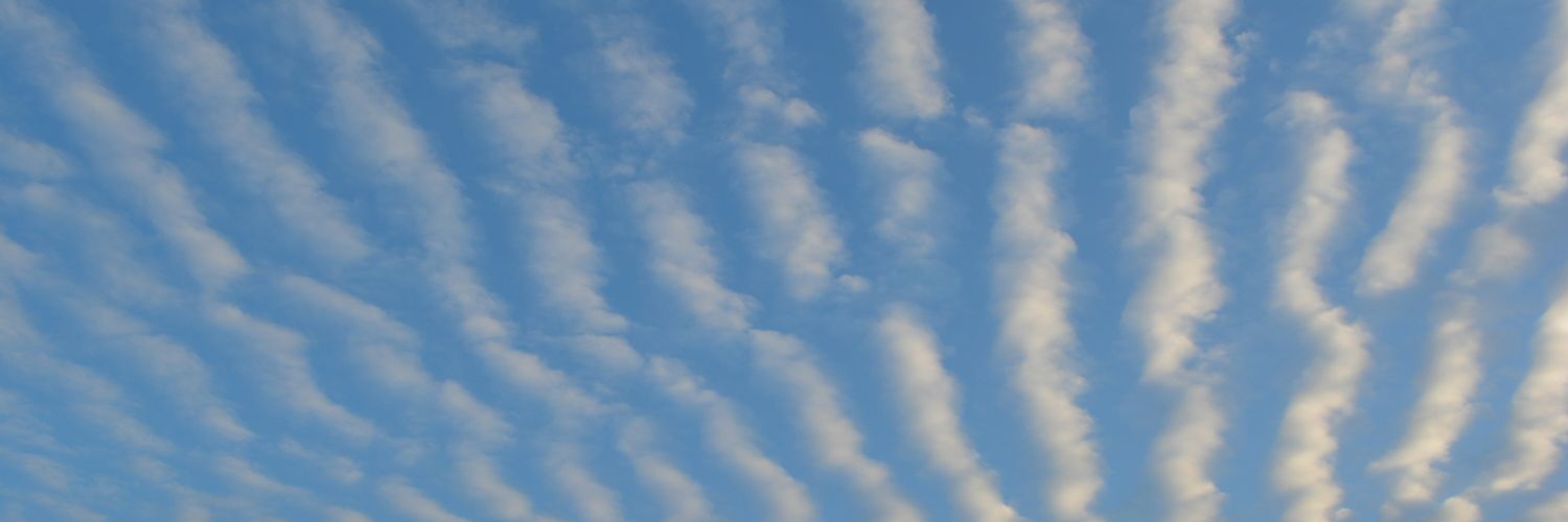 ohattar's profile banner image