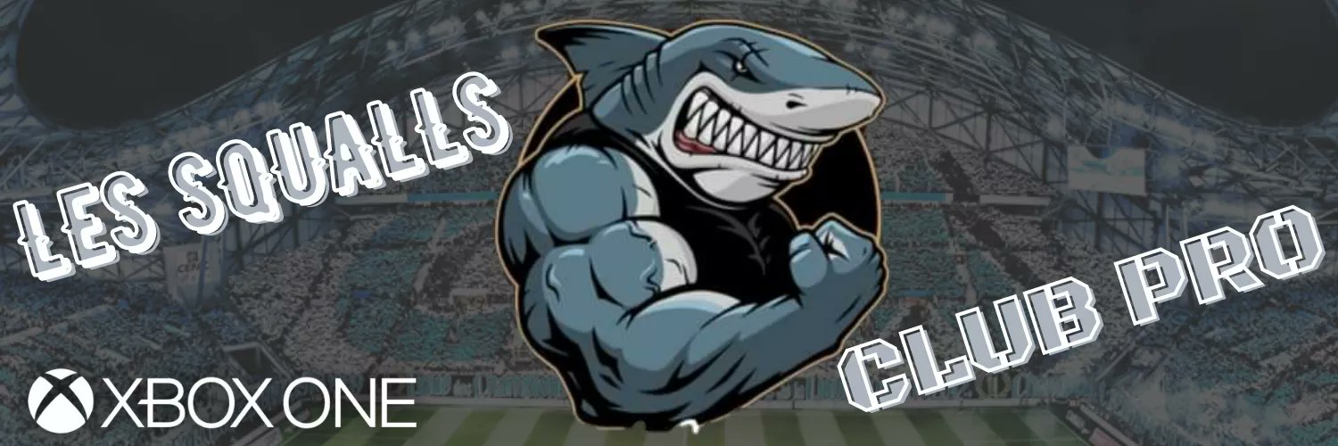 Les Squalls / VPN Monaco banner