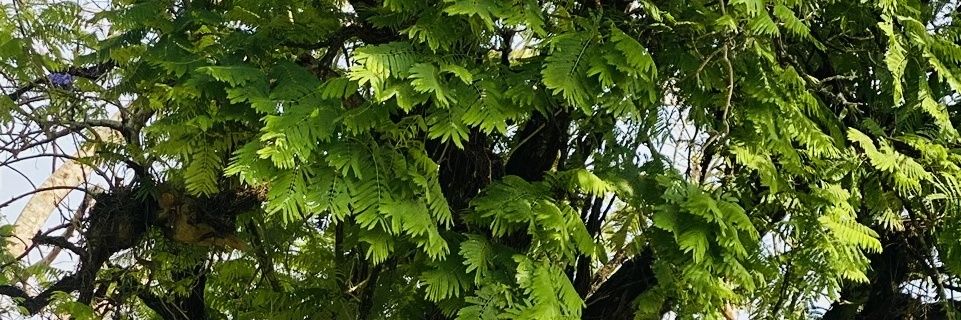 edetfavour5's profile banner image