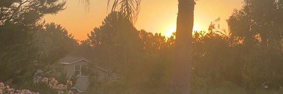 ✪lga 🌹✨'s banner