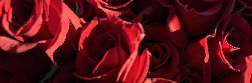 2pretty_tee's profile banner image