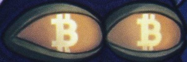 habibivc Profile Banner