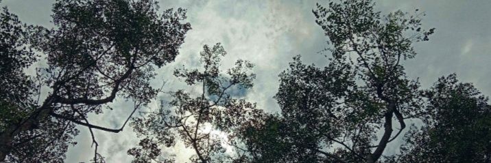 oet_oi's profile banner image