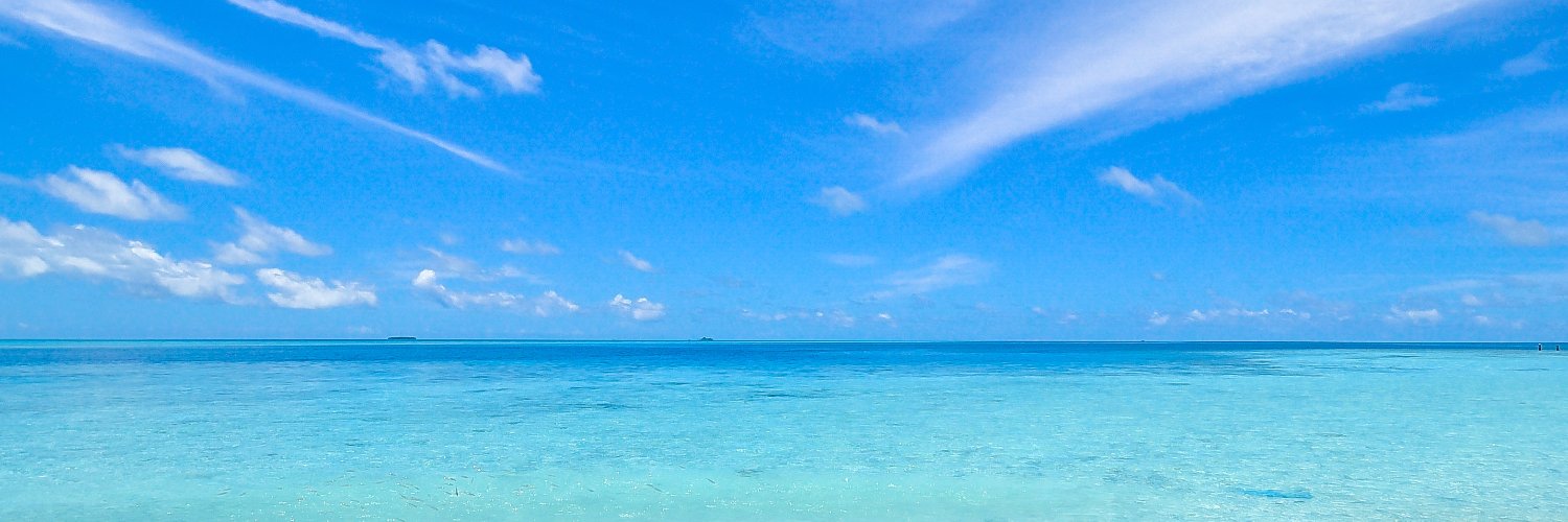 Naeemul Hoque ❁ banner