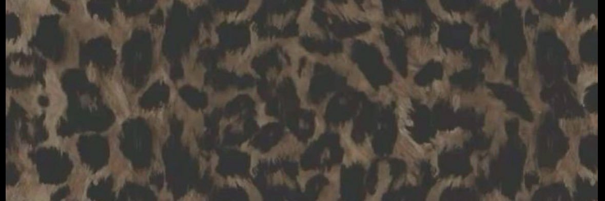 mamadelrae's profile banner image