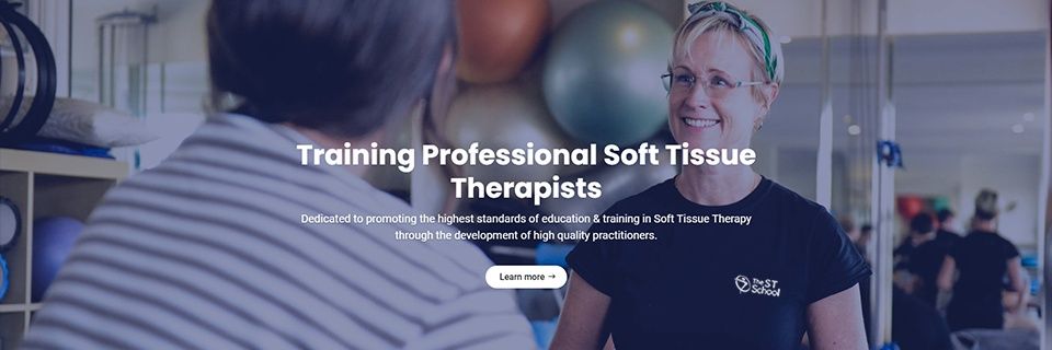 thestschool's profile banner image