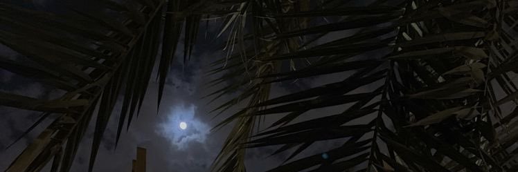 mriiu_'s profile banner image