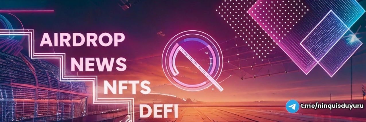 NINQUIS banner