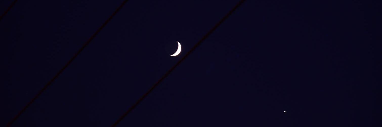 Neziha Gül banner