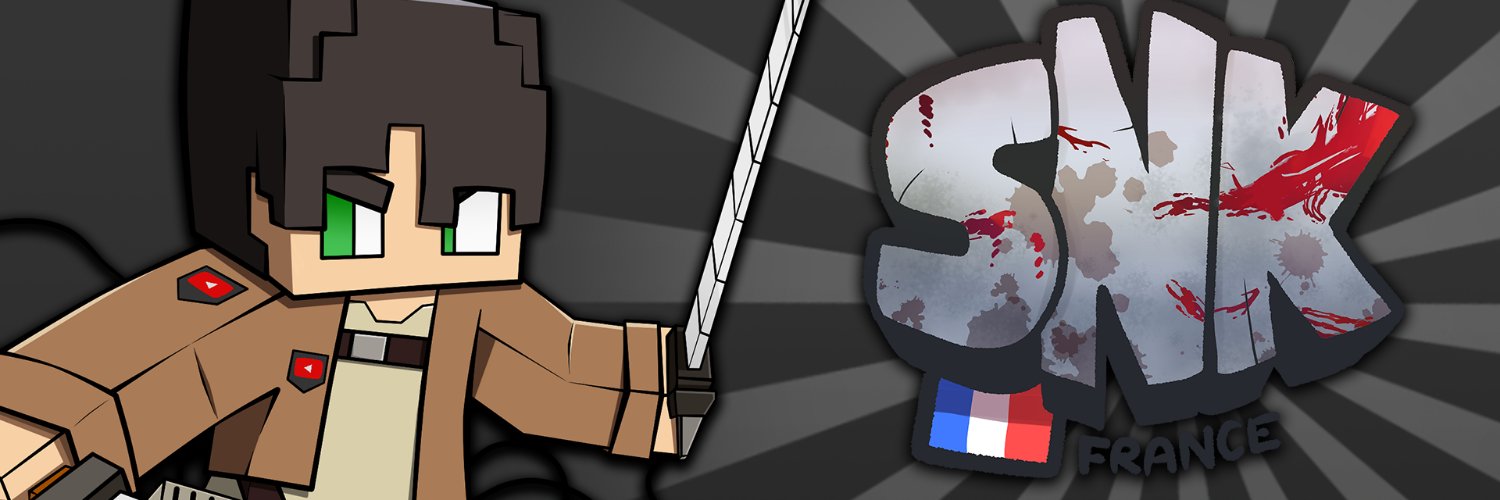 SNK France banner