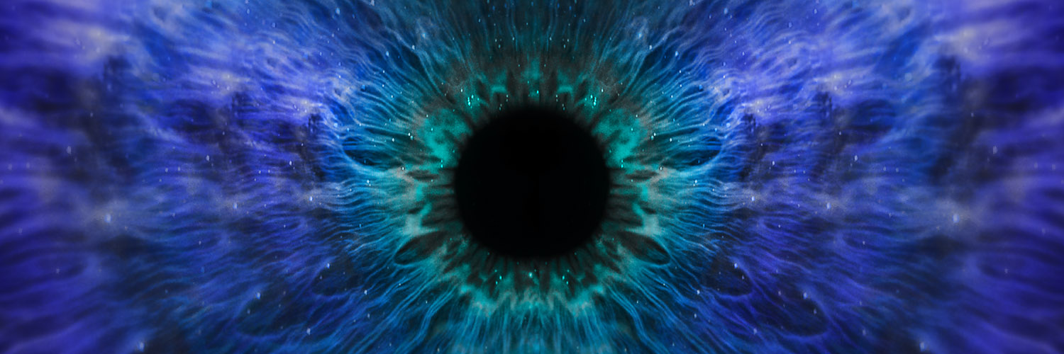 MACSO banner