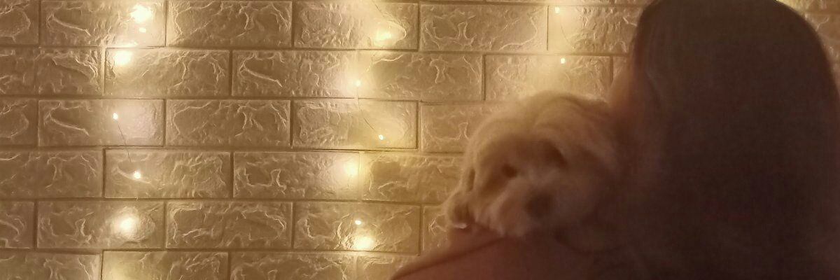 LeiramYu's profile banner image
