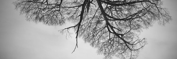 IgorAlexandreF7 Profile Banner