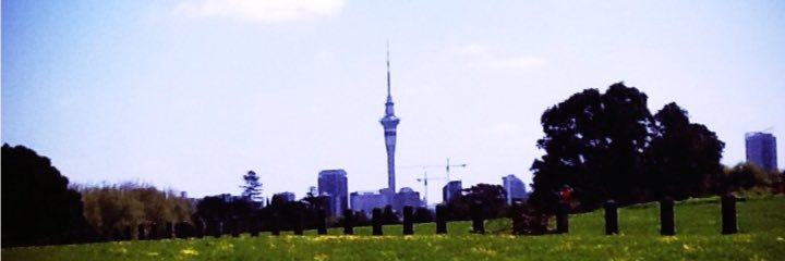 sala_sau's profile banner image