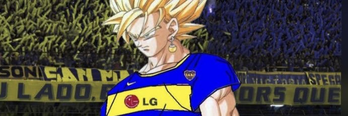 Molineta banner