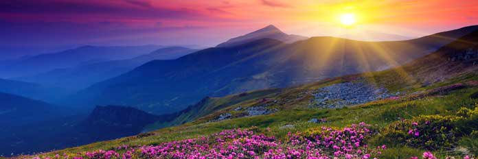 Ultimate_siggma banner