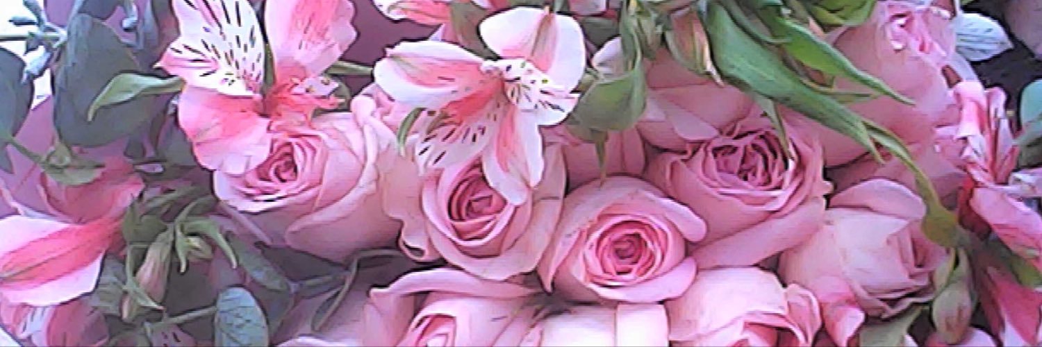 mooncoffiee's profile banner image