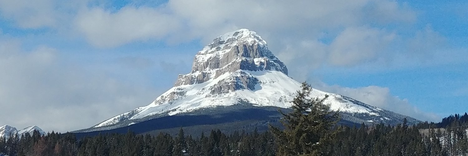 𝙻𝚘𝚐𝚊𝚗 𝚆𝚘𝚘𝚕𝚏 banner